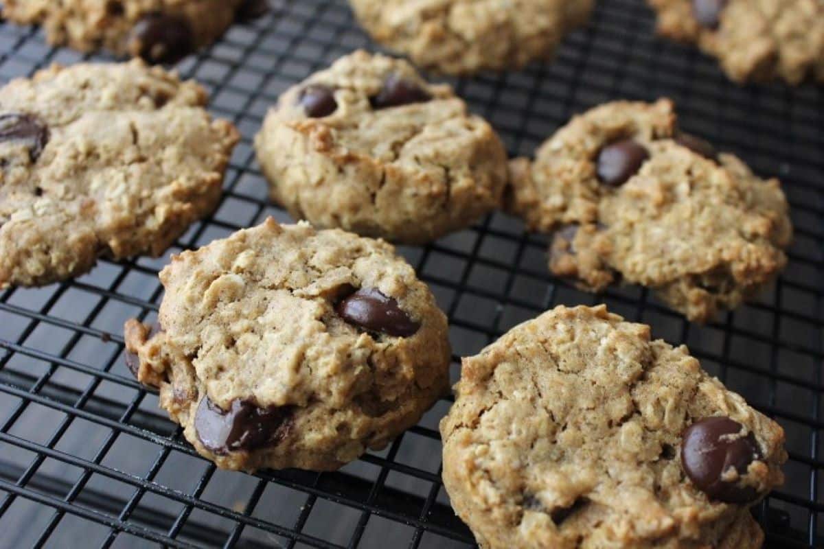 image of pumpkin oatmeal chocolate chip cookies laying on cooling rack