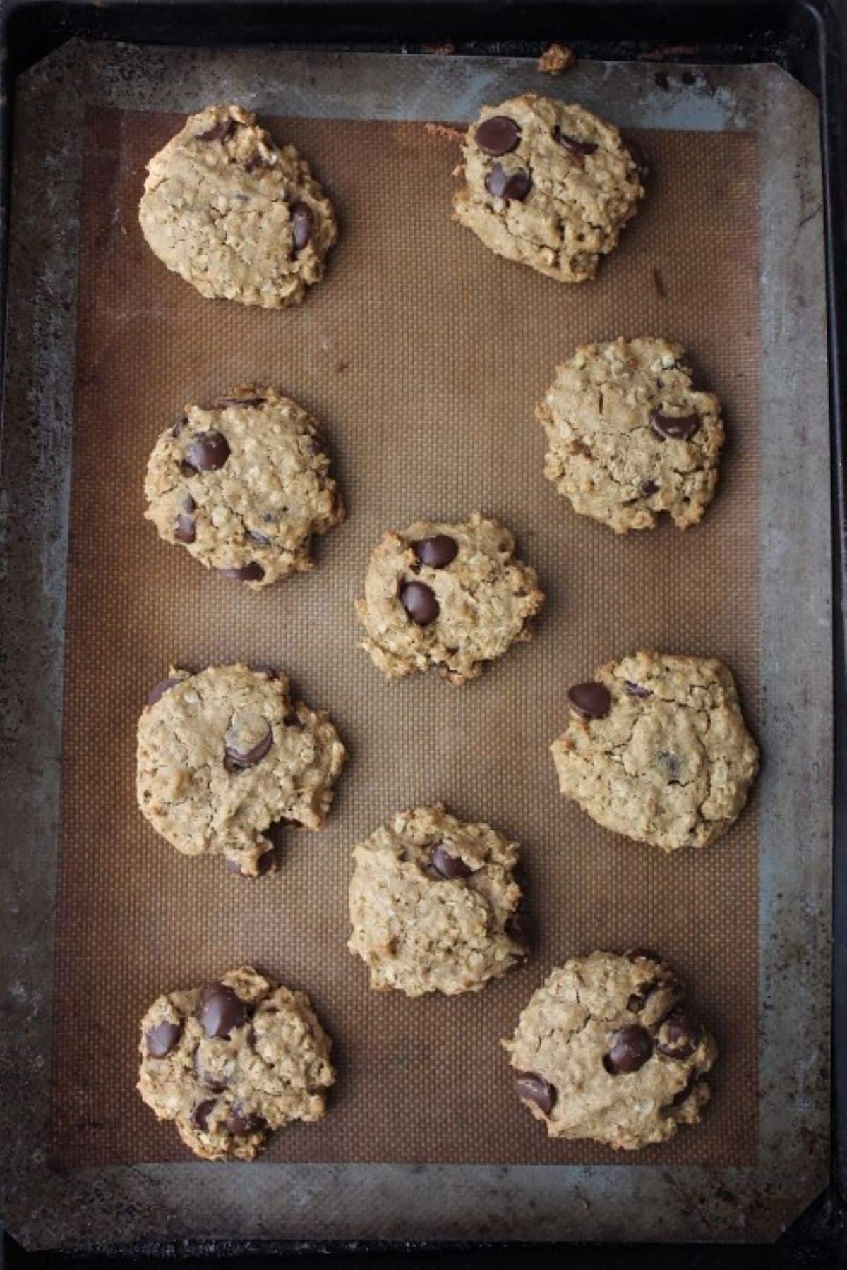 Image of cooked pumpkin oatmeal chocolate chip cookie on baking sheet.